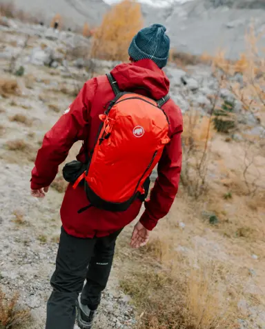 Backpacks & Bags