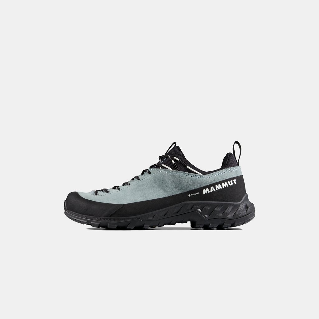 Alnasca IV Low LTH GTX Women