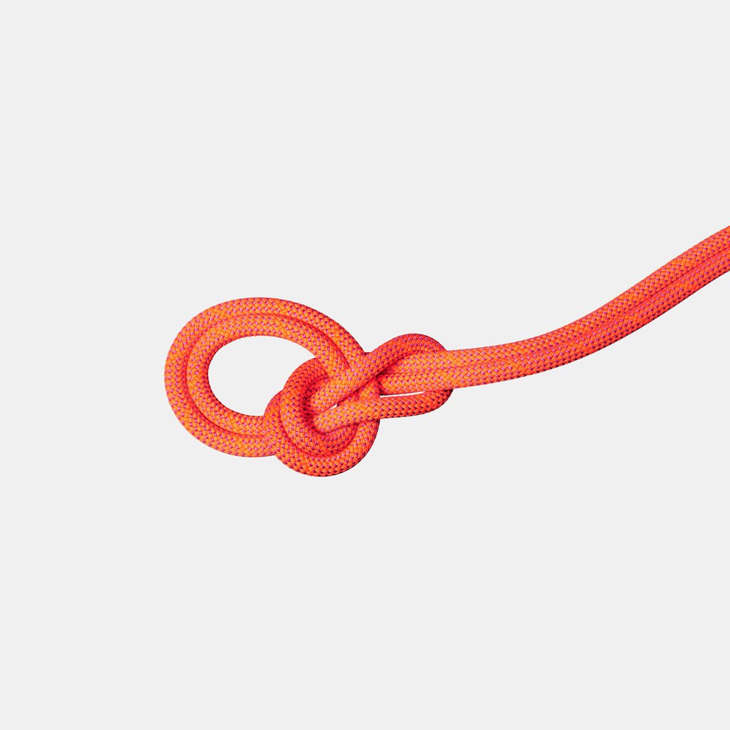 9.8 Crag Dry Rope 60m