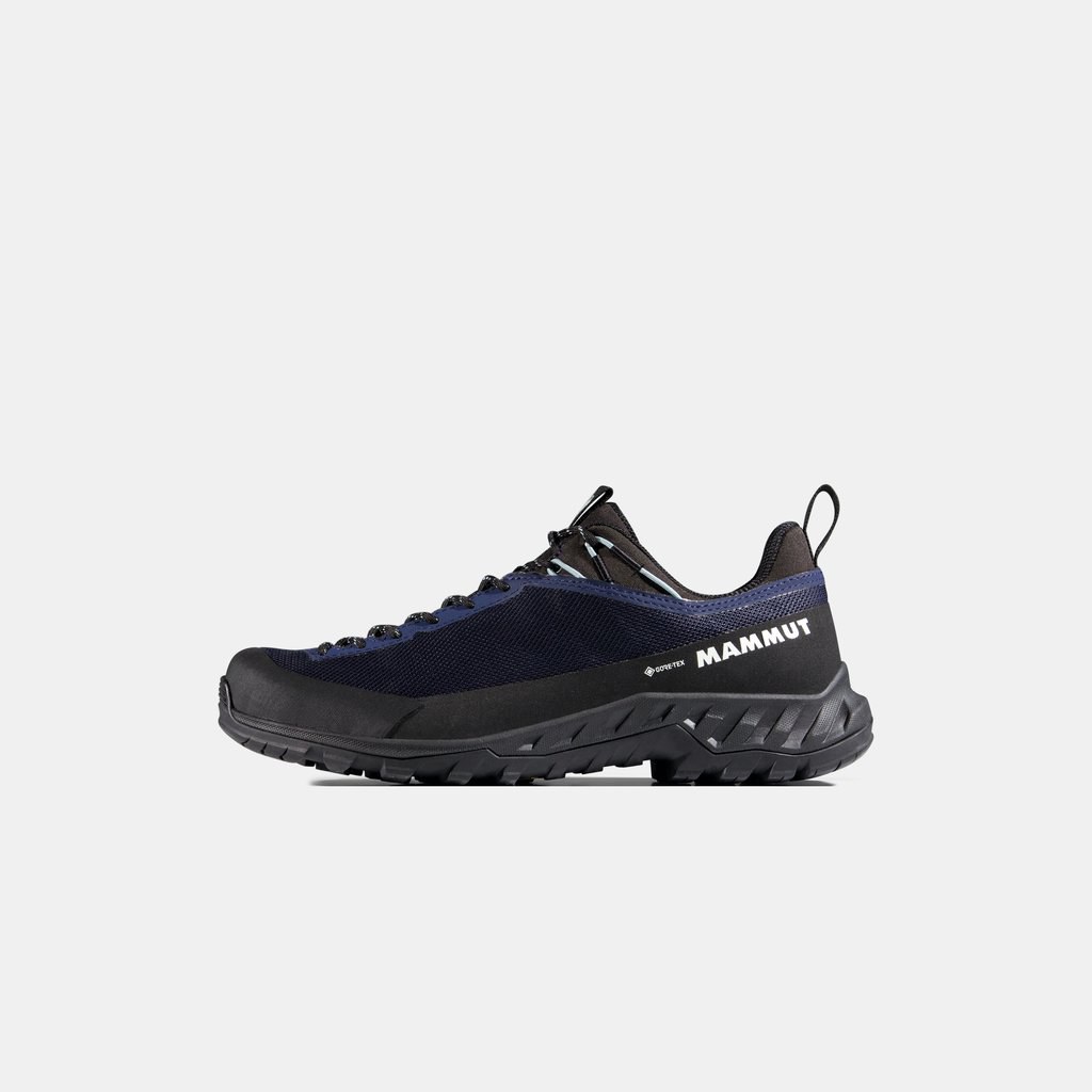 Alnasca IV Low GTX Women