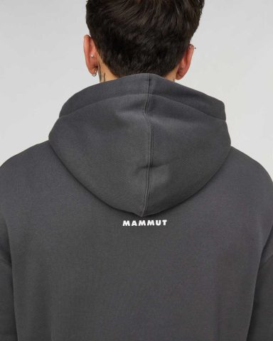 Mammut Base ML Hoody Men Mini Logo