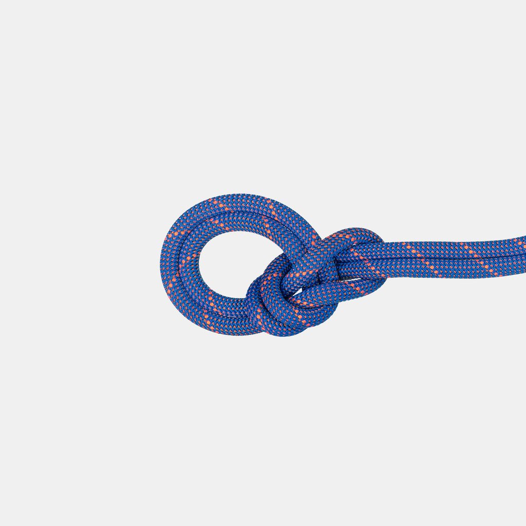 9.0 Crag Sender Dry Rope 100m