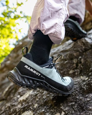 Alnasca IV Low LTH GTX Women