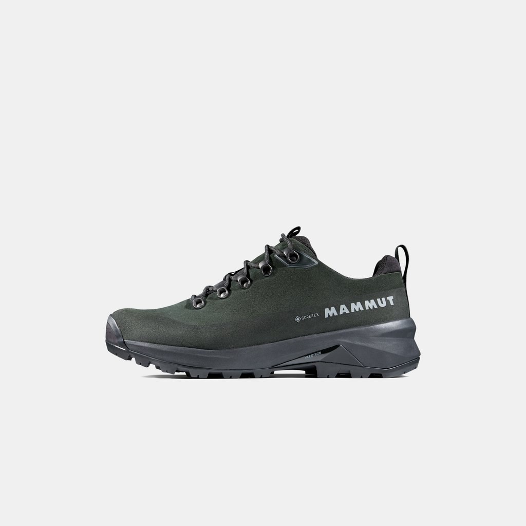 Ducan III Low LTH GTX Men