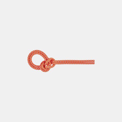 8.7 Crag Sender Dry Rope 60m