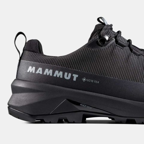 Ducan III Low GTX Men