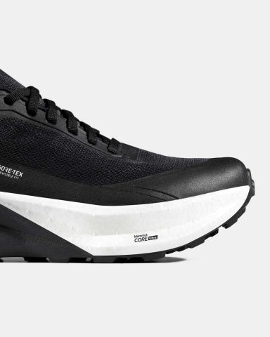 Aenergy Trail Endurance Ultra Low GTX Men