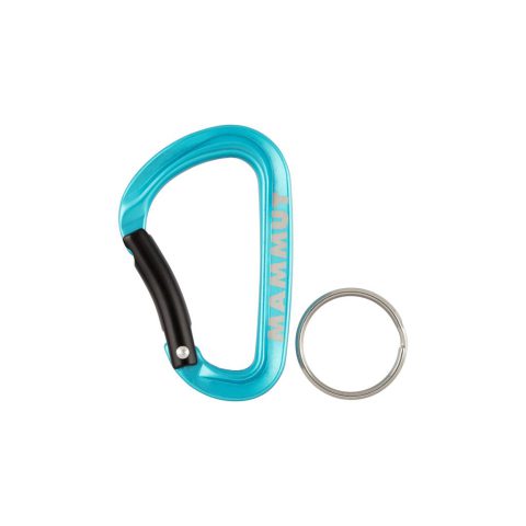 Mammut Mini Carabiner Classic Keylock S