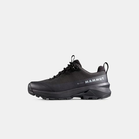 Ducan III Low GTX Women