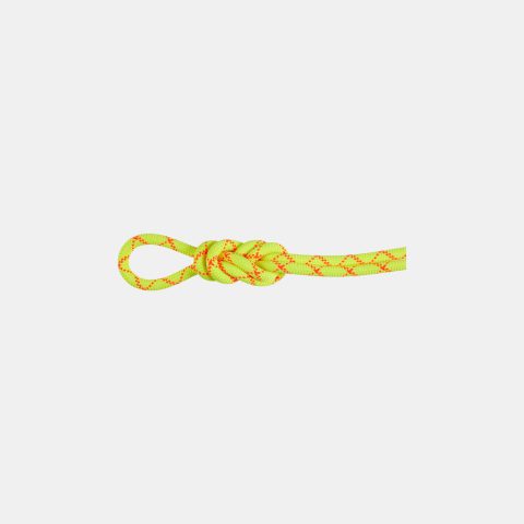 9.5 Alpine Core Protect Dry Rope 60m 9.5 Alpine Core Protect Dry Rope 60m