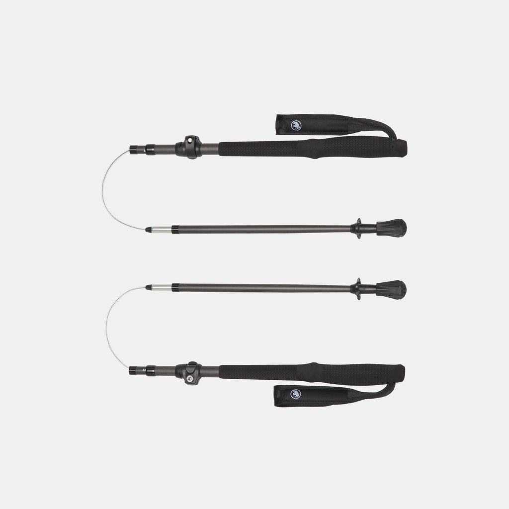 Aenergy Ultra Vario Carbon Poles