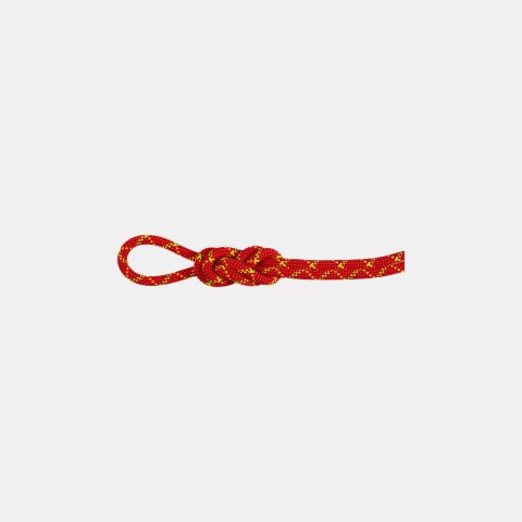 8.0 Alpine Core Protect Dry Rope 60m 8.0 Alpine Core Protect Dry Rope 60m