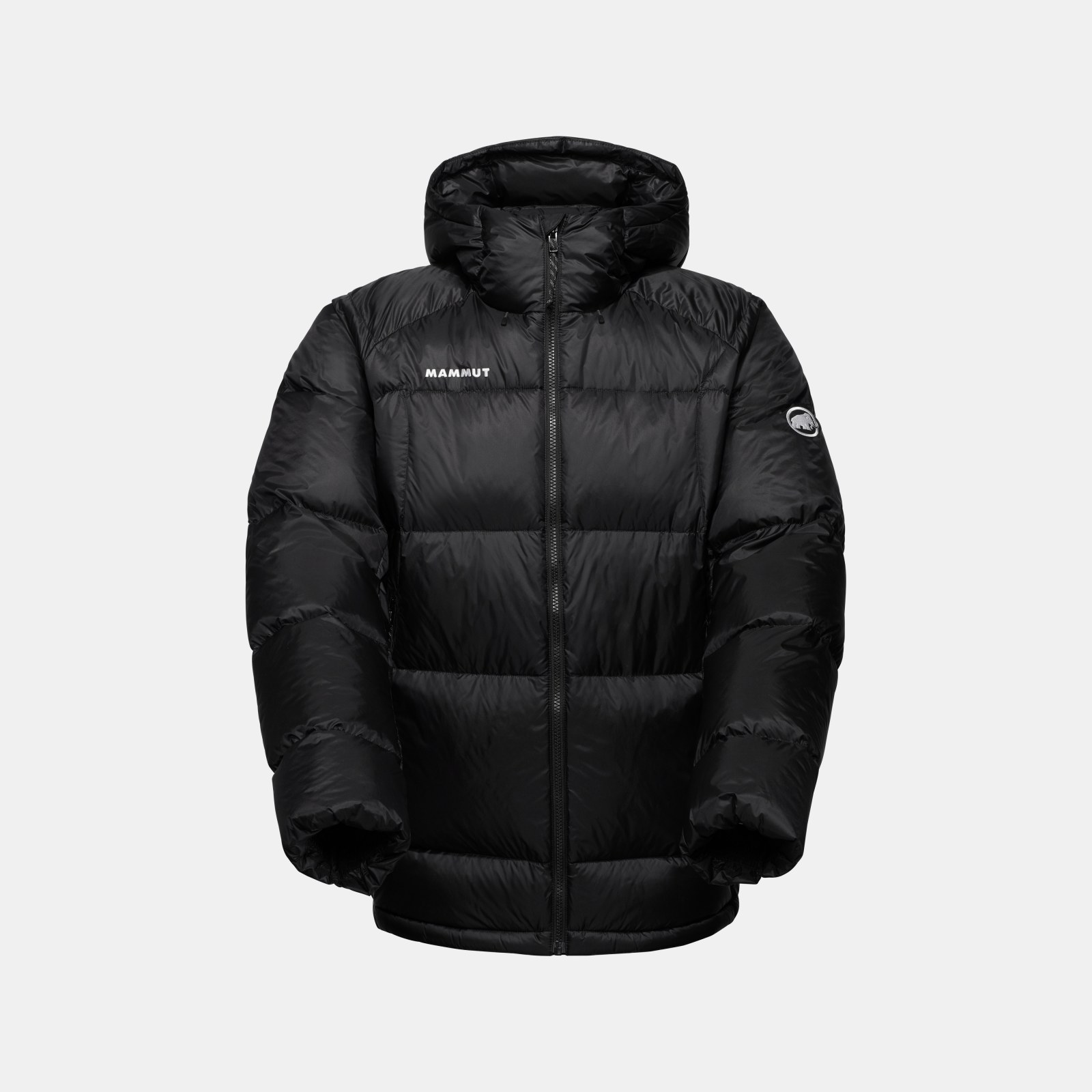 Glacier Glow IN Hooded Jacket Men