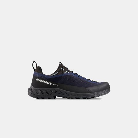 Alnasca IV Low GTX Women