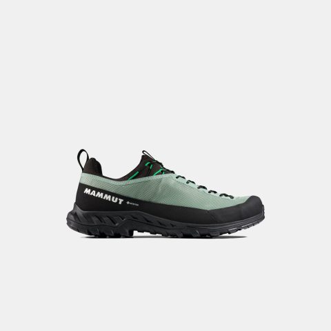 Alnasca IV Low GTX Men