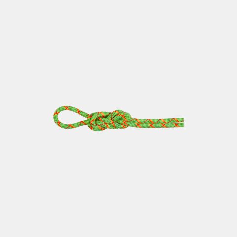 8.0 Alpine Core Protect Dry Rope 40m 8.0 Alpine Core Protect Dry Rope 40m